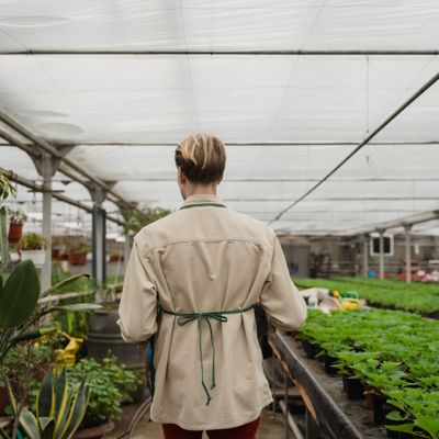 Compost your scraps